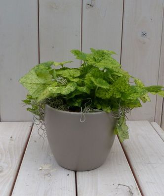 Kind auf dem Schoß der Mutter in taupefarbenem Topf 25 cm Warentuin Natuurlijk Wa