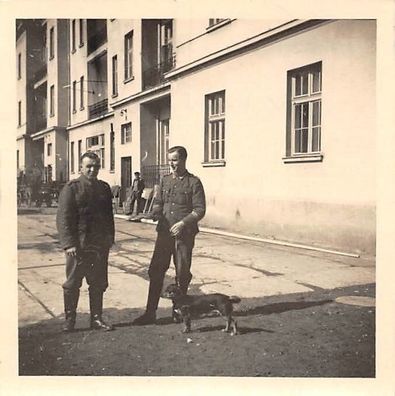 Deutsche Soldaten mit Dackel in der Kaserne Belgrad Serbien