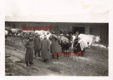 Deutsche Infanterie-Division 164. mit rum. Bauern am Lager Draganesti Rumänien