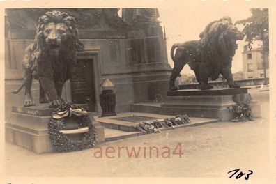 Löwen am Denkmal Albert I in Brüssel Belgien