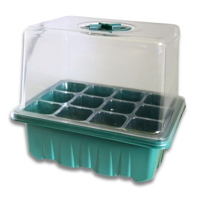 3x Zimmergewächshaus klein in zwei Farben erhältlich Transparent/Grün