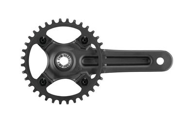 Campagnolo Kettenradgarnitur "Ekar GT 13s" 1-fach, 36 Zähne, 170