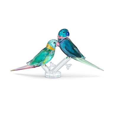 EKM Living Angebot: Swarovski JUNGLE BEATS Parakeet COUPLE 5577124 Neuheit 2021