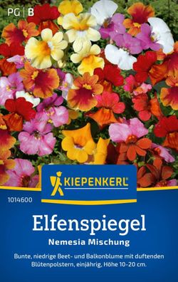 Elfenspiegel Nemesia Mischung, niedrige Beet- und Balkonblume mit duftenden