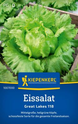 Eissalat Great Lakes 118, hellgrüne Köpfe - schossfest - für gesamte
