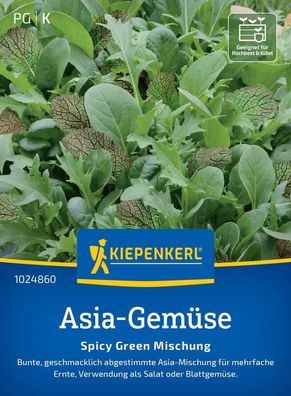 Asia-Gemüse Spicy Green, Asia-Mischung für mehrfache Ernte - Verwendung als