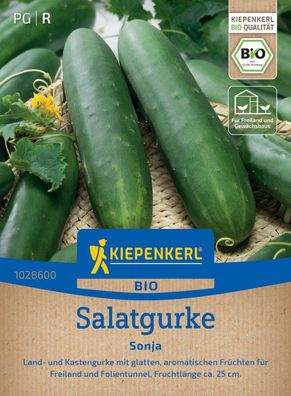 BIO Salatgurke Sonja, Land- und Kastengurke mit glatten Früchten - Freiland u