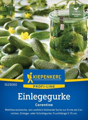 Einlegegurke Corentine, F1, Mehltauresistent - weiblich - Cornichon, Einlege