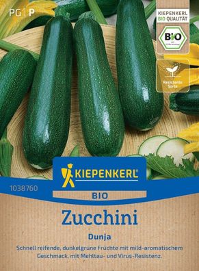 BIO Zucchini Dunja, F1, schnell reifende Früchte - mild aromatisch im