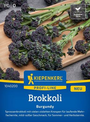 Brokkoli Burgundy, F1, Sprossenbrokkoli - violette Knospen - für Sommer und