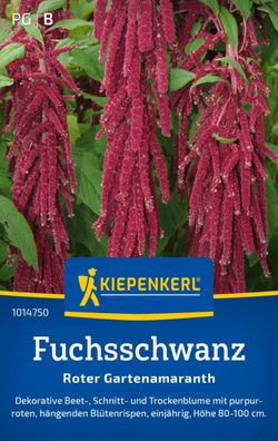 Fuchsschwanz, Roter Gartenamaranth - Beet- Schnitt- und Trockenblume - Höhe