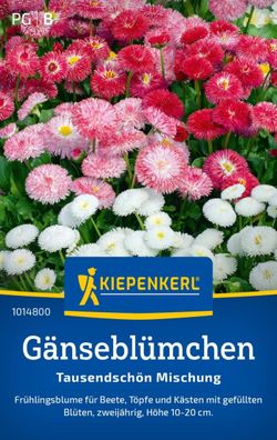 Gänseblümchen Tausendschön Mischung, Frühlingsblume für Beete, Töpfe und