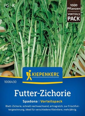 Futter-Zichorie Spadona, Vorteilspackung, schnell wachsend