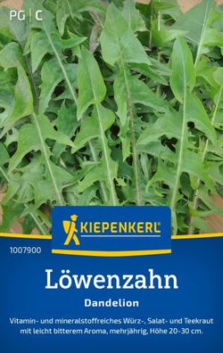 Löwenzahn Dandelion, Vitamin- u. mineralstoffreiches Würz-, Salat- und