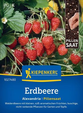 Erdbeere Alexandria, Pillensaat, Walderdbeere mit kleinen, süß-aromatischen