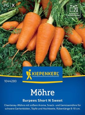 Möhre Short ´N Sweet, Chantenay-Möhre mit süßem Aroma - Snack- u Gemüsemöhre