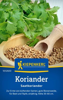 Koriander Saatkoriander, zur Ernte von duftenden Samen - gute Bienenweide