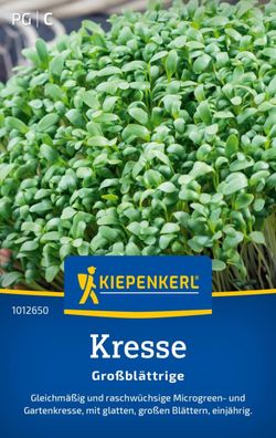 Kresse Glatte großblättrige, gleichmäßig und raschwüchsige Microgreen - und