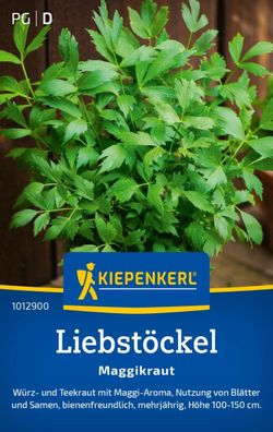 Liebstöckel Maggikraut, Würz-, und Teekraut - Maggi-Aroma - bienenfreundlich