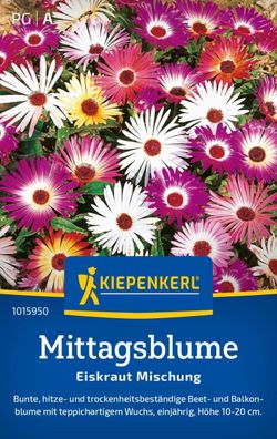 Mittagsblume Eiskraut Mischung, Hitze- u. Trockenheitsbeständige Beet- und