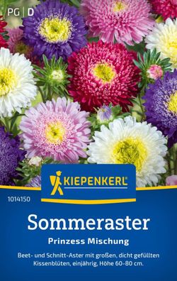 Sommeraster Prinzess Mischung, Beet- u. Schnittaster - große, dicht gefüllte