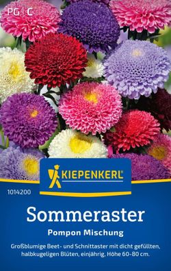 Sommeraster Pompon Mix, Großblumige Beet- u Schnittaster - dicht gefüllte