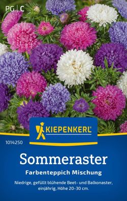 Sommeraster Farbenteppich Mischung, niedrig - gefüllt blühend - Beet- u