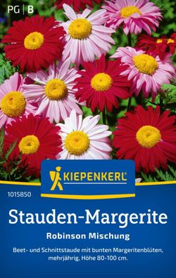 Stauden-Margerite Robinson Mischung, Beet- und Schnittstaude - mehrjährig