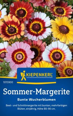 Sommer-Margerite Bunte Wucherblumen, mehrjährige Beet- und Schnittmagerite