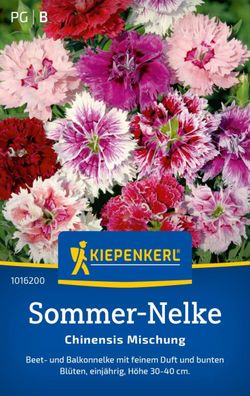 Sommer-Nelke Chinensis Mischung, Beet- und Balkonnelke mit feinem Duft - Höhe