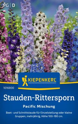 Stauden-Rittersporn Pacific Mischung, Beet- und Schnittstaude - mehrjährig