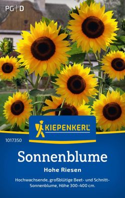 Sonnenblume Hohe Riesen, großblühende Beet- und Schnitt-Sonnenblume - Höhe