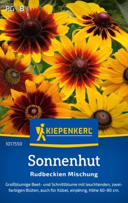 Sonnenhut Rudbeckien Mischung, großblumige Beet- und Schnittblume - auch für