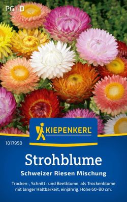 Strohblume Schweizer Riesen Mischung, Trocken- Schnitt und Beetblume, lange