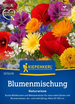 Blumenmischung Naturwiese, Bunte Wildblumen u Wiesenkräuter - für naturnahe