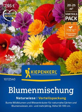 Blumenmischung Naturwiese, Vorteilspackung, bunte Wildblumen und