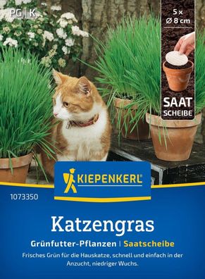 Katzengras Frischgrün Mischung, Saatscheibe, Frisches Grün für die Hauskatze