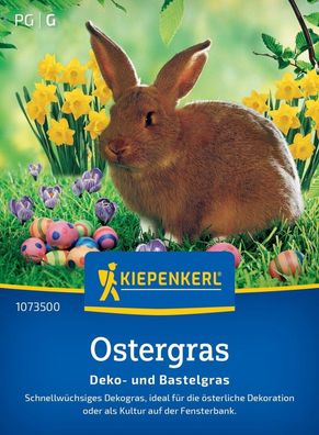 Ostergras Deko- und Bastelgras, Schnellwüchsig - Ideal für die österliche