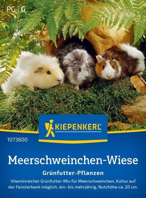 Meerschweinchen-Wiese Grünfutter-Pflanzen, Vitaminreicher Grünfutter-Mix für