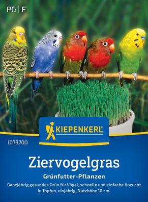 Ziervogelgras Frischgrün Mischung, Ganzjährig gesundes Grün für Vögel