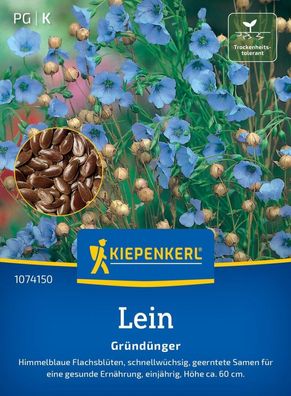 Lein Blauer Flachs, Gründünger - himmelblaue Flachsblüten - wüchsig - Ernte