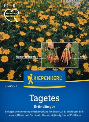 Nematodenkiller-Tagetes Single Gold, biologische Nematodenbekämpfung im Boden