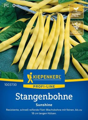 Stangenbohne Sunshine, resistente schnell reifende Filet-Wachsbohne mit