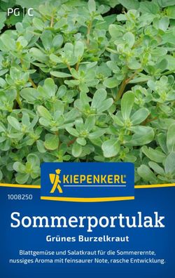 Portulak Sommerportulak, Blattgemüse u. Salatkraut - Sommerernte - rasche