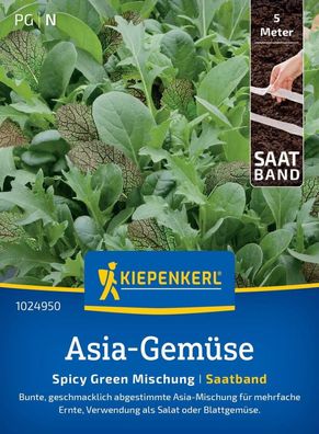 Salat Asia Spicy Green Mischung, Saatband, geschmacklich abgestimmt