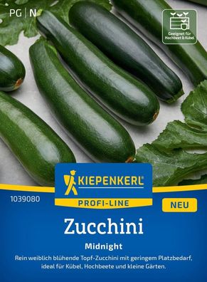 Zucchini Midnight, F1, rein weiblich blühende Topf-Zucchini - robust - Kübel