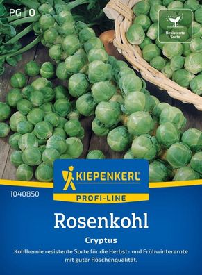 Rosenkohl Cryptus F1, frühreifend, schoßfest, Kohlhernie-Resistent - 120 cm