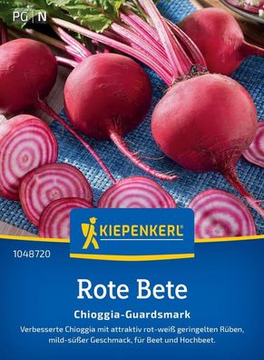 Rote Bete Chioggia-Guardsmark, attraktiv rot-weiß geringelte Rüben - für Beet