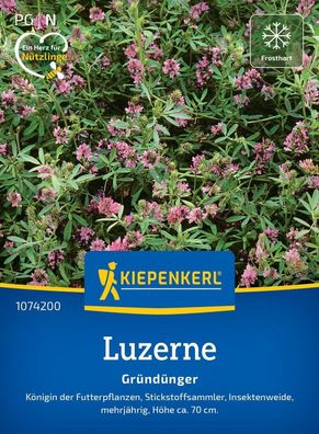 Luzerne Saat-Alfalfa, Königin der Futterpflanzen - Stickstoffsammler