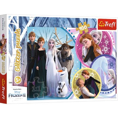 Frozen Puzzle 100 Pieces Lustiges Puzzle mit Elsa und Anna für Kinder